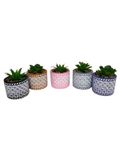 Vaso de Cimento Decorativo Cores Sortidas 6,5x7cm