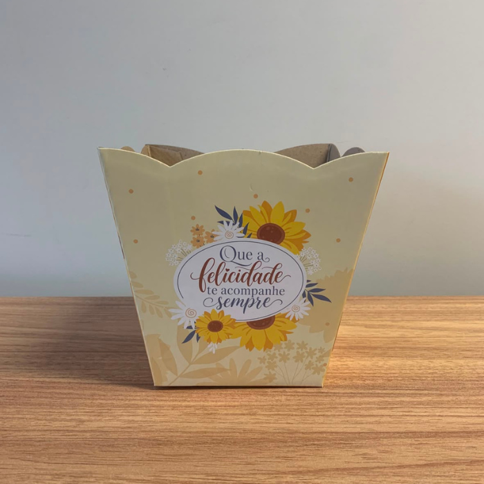 Cachepô Que a Felicidade Te Acompanhe Sempre CH902 – Kit com 3 Unidades sem Plaquinha