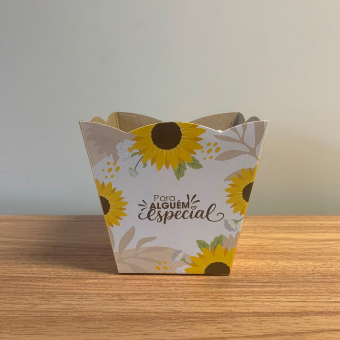 Cachepô Para Alguém Especial CH896 – Kit com 3 Unidades sem Plaquinha