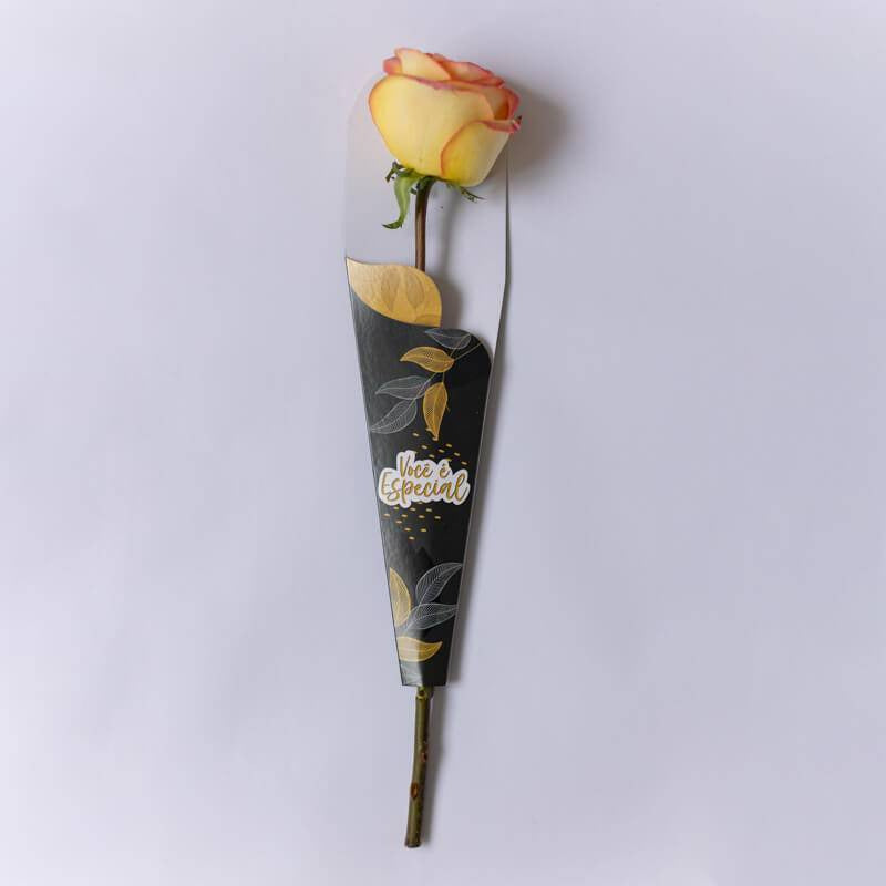 Cone para flor - você é especial - fc 03 | 10 unidades