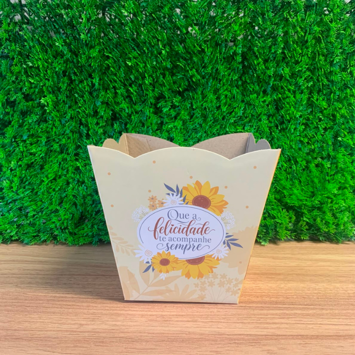 Cachepô Que a Felicidade Te Acompanhe Sempre CH902 – Kit com 3 Unidades sem Plaquinha