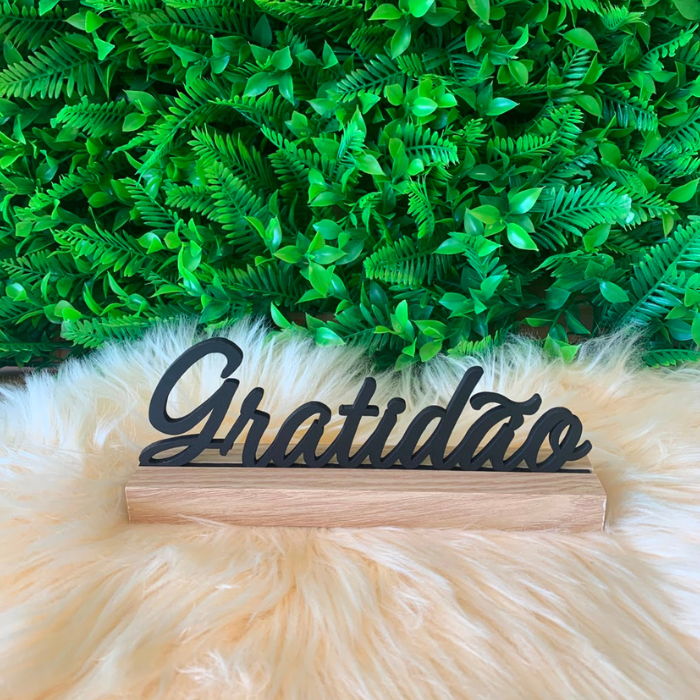 Placa Decorativa Gratidão 20x9cm – Modelo Sortido