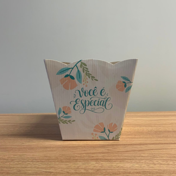 Cachepô Você é Especial CH899 – Kit com 3 Unidades sem Plaquinha