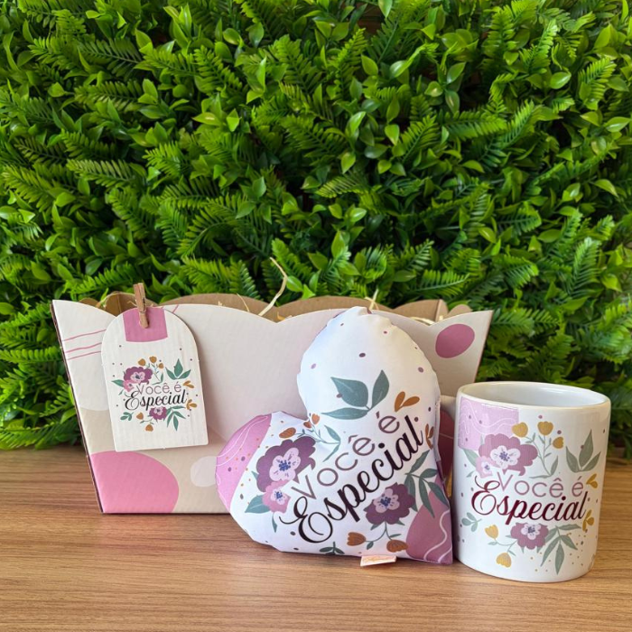 Combo867 - Caneca + cachepô duplo + mini almofada coração - Você é especial